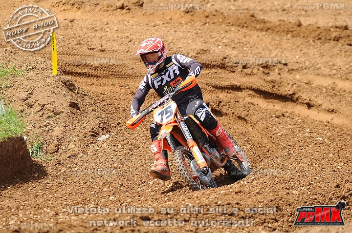 DSC_7821 (Copy).jpg